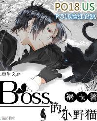 重生之boss大哥