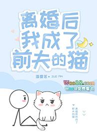 离婚后我成了前夫的猫盘搜搜