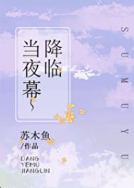 当夜幕降临是什么意思