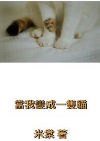 当我变成一只猫作文400字