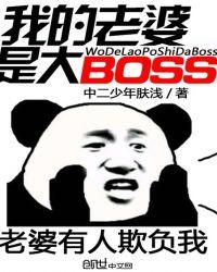 我的老婆是大boss