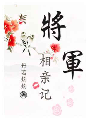 将军 丞相