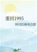 重回1995by路小哥