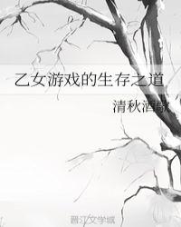 乙女游戏入门