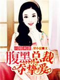 腹黑总裁闪婚宠妻无度