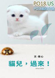 猫儿过来 慈心