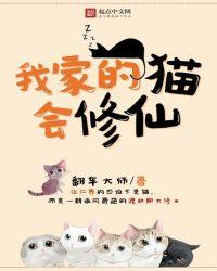 我家的猫会后空翻表情包