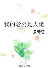 我的老公是大佬紫青悠全文阅读