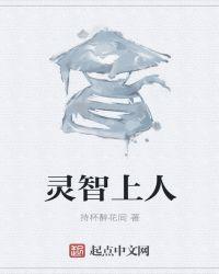 灵智上人被黄药师打