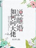 如何向大佬说离婚TXT