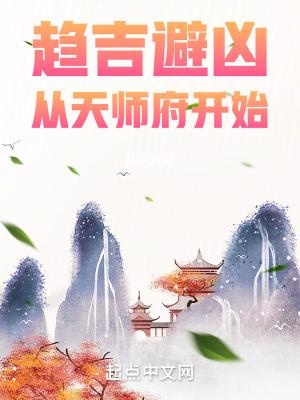 趋吉避凶从天师府开始书评