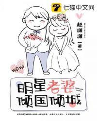 明星 老婆