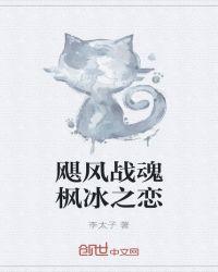 飓风战魂纯爱