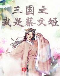 三国大时代4蔡文姬在哪里