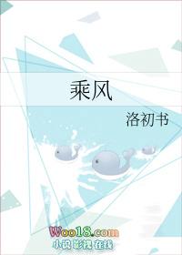 乘风破浪电视剧免费观看