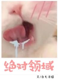 绝对领域什意思