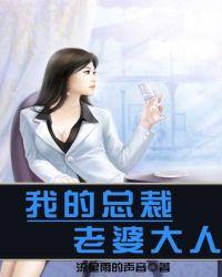 我的总裁老婆大人流星雨