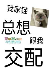 猫老是想和我睡觉