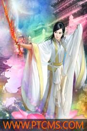 武林外传 九师妹