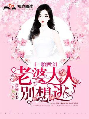 一胎俩宝老婆大人别想逃