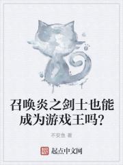 游戏王炎之卡组