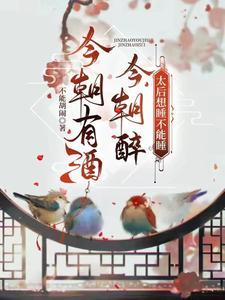 小小宫女变贵妃电视剧