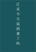 江采今年追到妻了吗