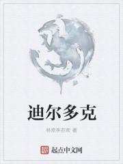 迪尔克是什么意思