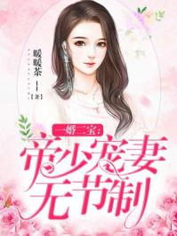 一婚二宝帝少千亿宠妻免费阅读