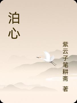 泊心湾户型图