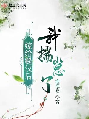 穿越嫁给糙汉子文笔好