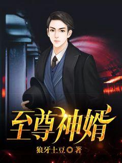 至尊神婿叶昊最新完结版