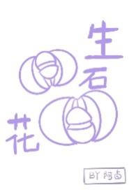 生石花花的描写的作文400字