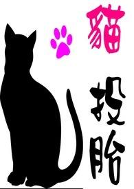 猫投胎转世需要多久