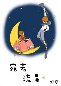 宛若流星砸进我的眼眸