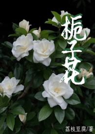 栀子花by