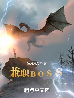 兼职boss起点