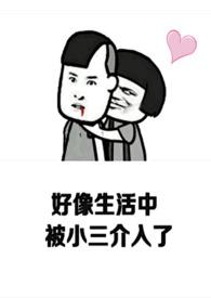 心机婊攻略小三上位