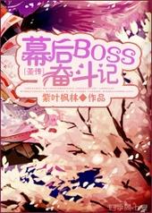 [圣传]幕后BOSS奋斗记