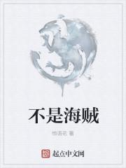 不是海贼